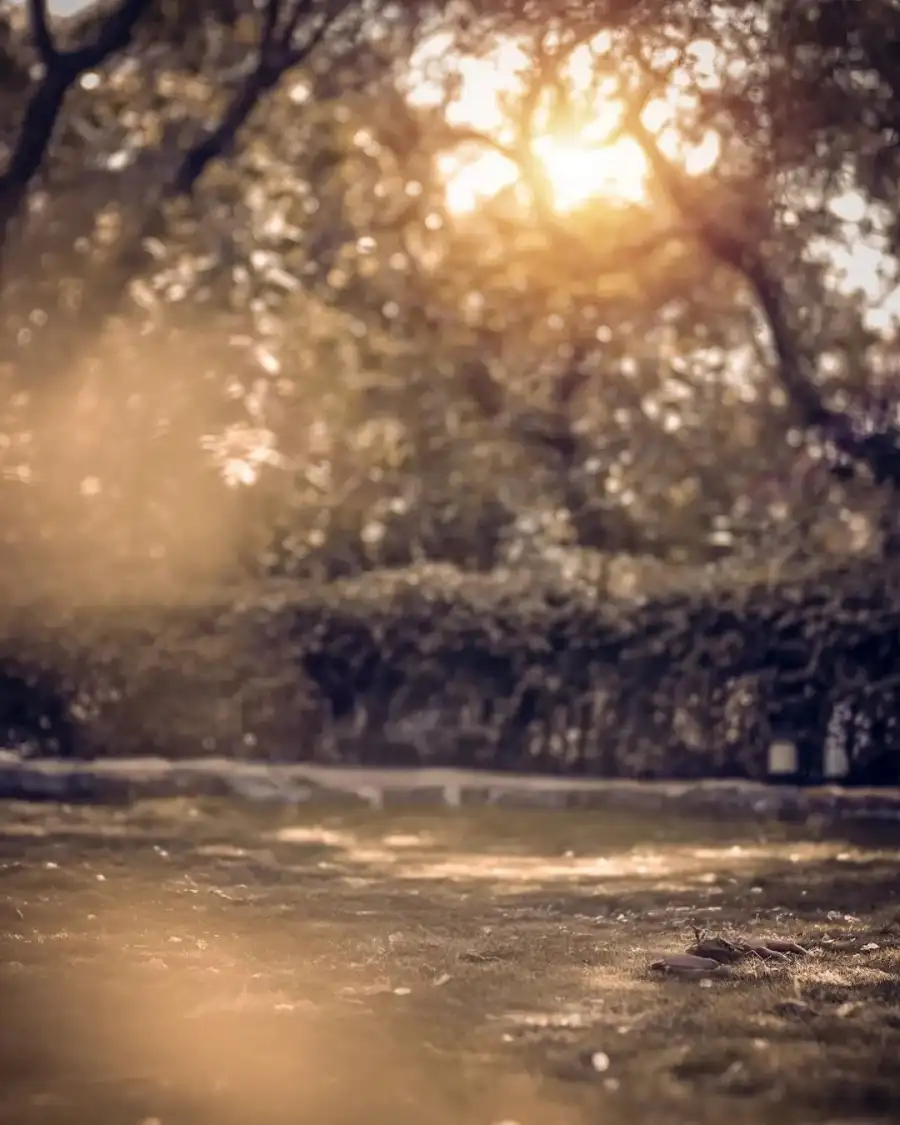 CB River With Trees On The Side Background Full HD