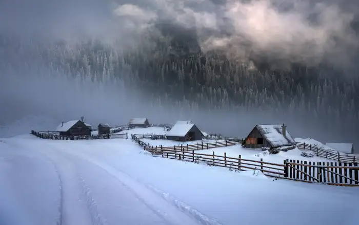 CB Road Path Winter Forest Background HD Images