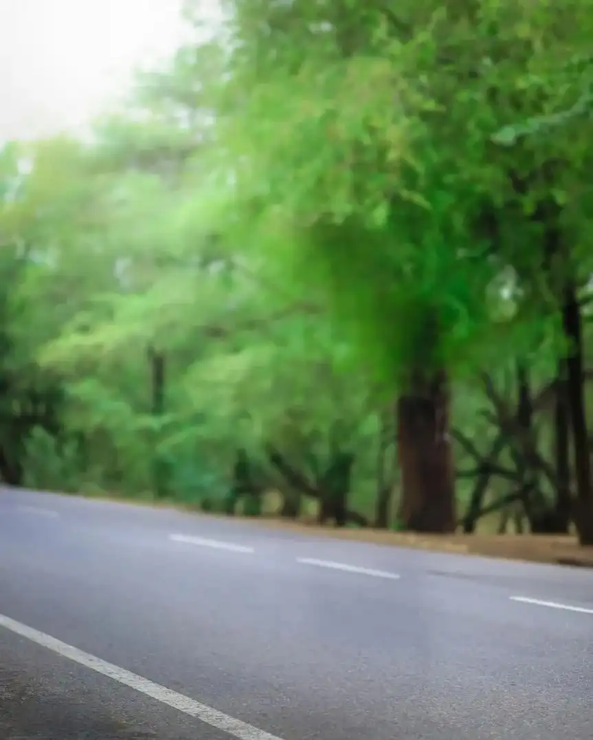 CB Road With Trees On The Side Background