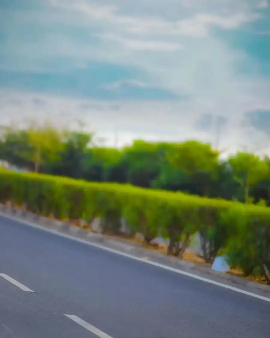 CB Road With Trees On The Side     Background