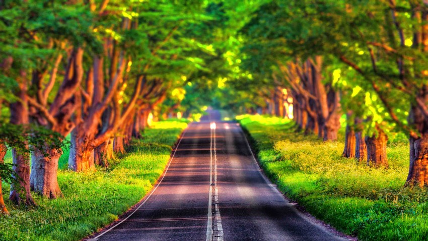 CB Summer Road Background HD Photo Image Free