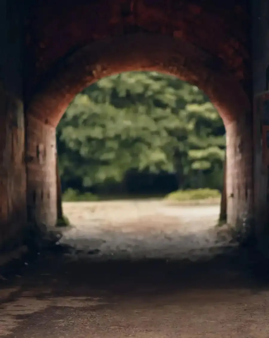 CB Tunnel With A Tree Growing Through Background Free