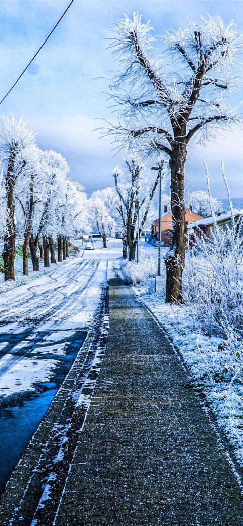 CB Winter Road Background Full HD Download