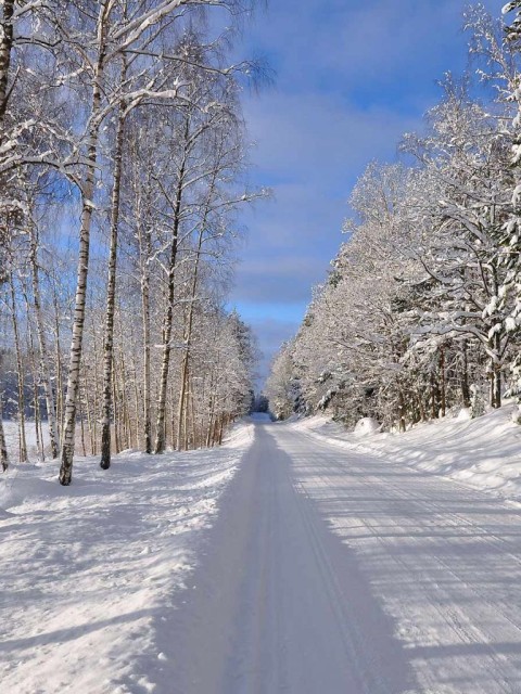 CB Winter Road Background Full HD Download Free