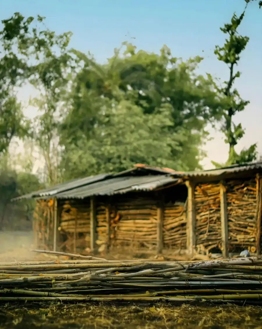 CB Wooden Building With Trees In The Background Full HD