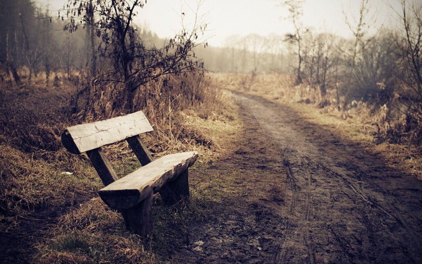 Chair In Forest Background Wallpaper Full HD