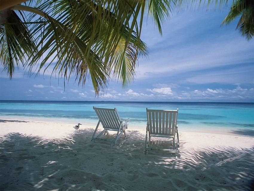 Chair On Beach HD Background Wallpaper