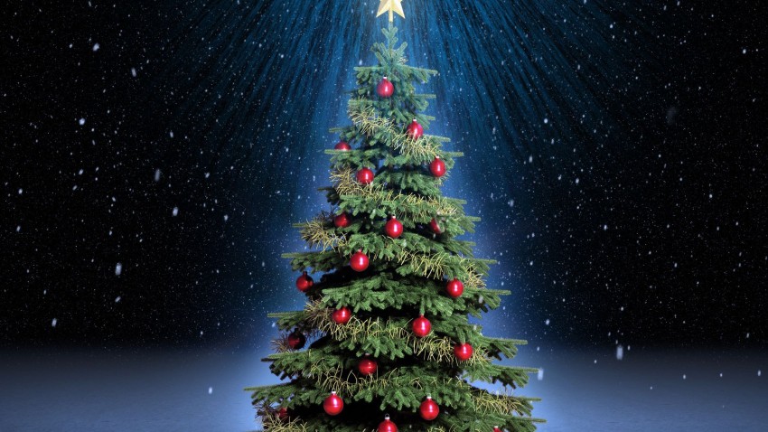 Christmas Green Tree Background HD Images Download