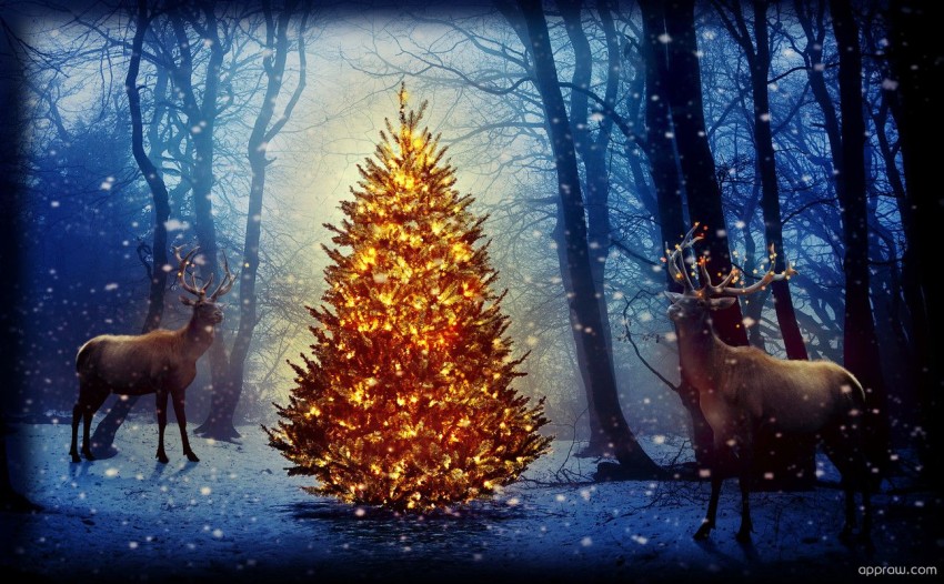 Christmas Rustic Winter Tree Background HD Download