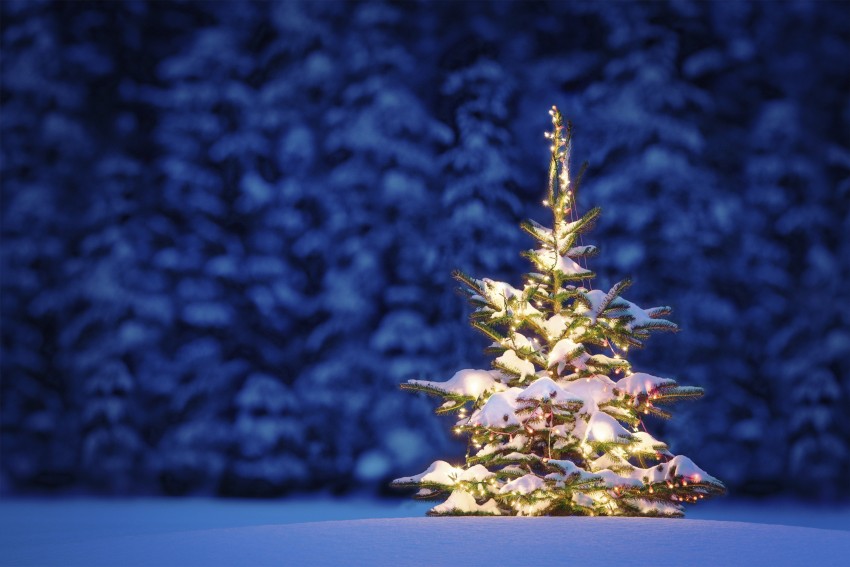 Christmas Snow HD Wallpapers Background Images