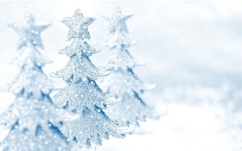 Christmas Snow Tree HD Wallpapers Background Images