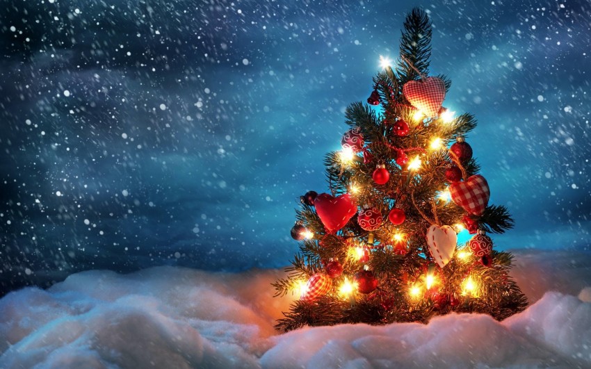 Christmas Snow Tree HD Wallpapers Background Images