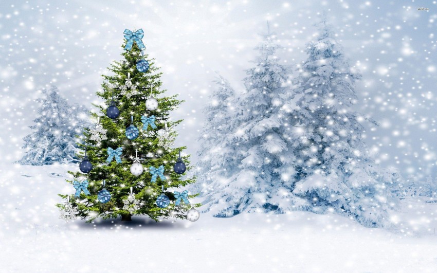 Christmas Snow Tree HD Wallpapers Background Images