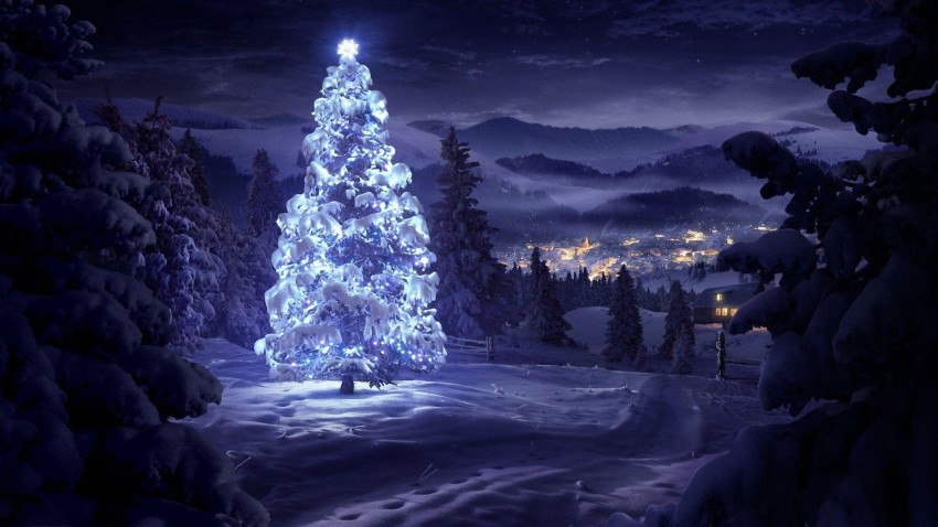 Christmas Snow Tree HD Wallpapers Background Images