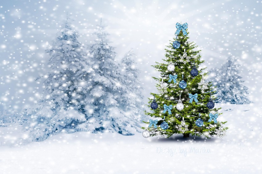 Christmas Snow Tree HD Wallpapers Background Images