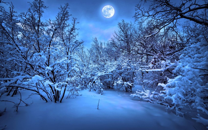 Christmas Snowfall HD Backgrounds Wallpapers Images Photos