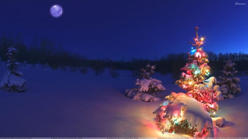 Christmas Snowfall HD Backgrounds Wallpapers Images Photos