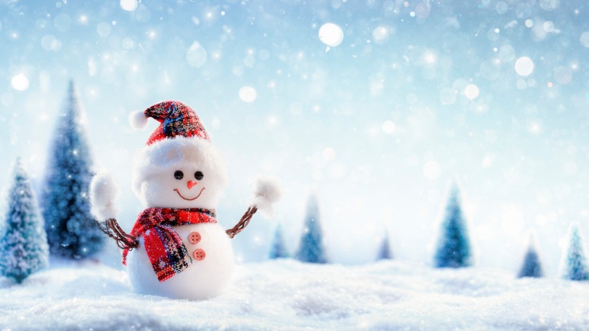 Christmas Snowfall HD Backgrounds Wallpapers Images Photos