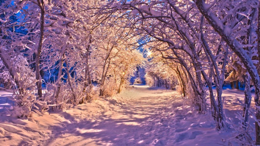 Christmas Snowfall HD Backgrounds Wallpapers Images Photos