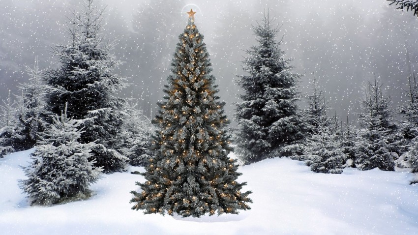 Christmas Snowfall HD Backgrounds Wallpapers Images Photos