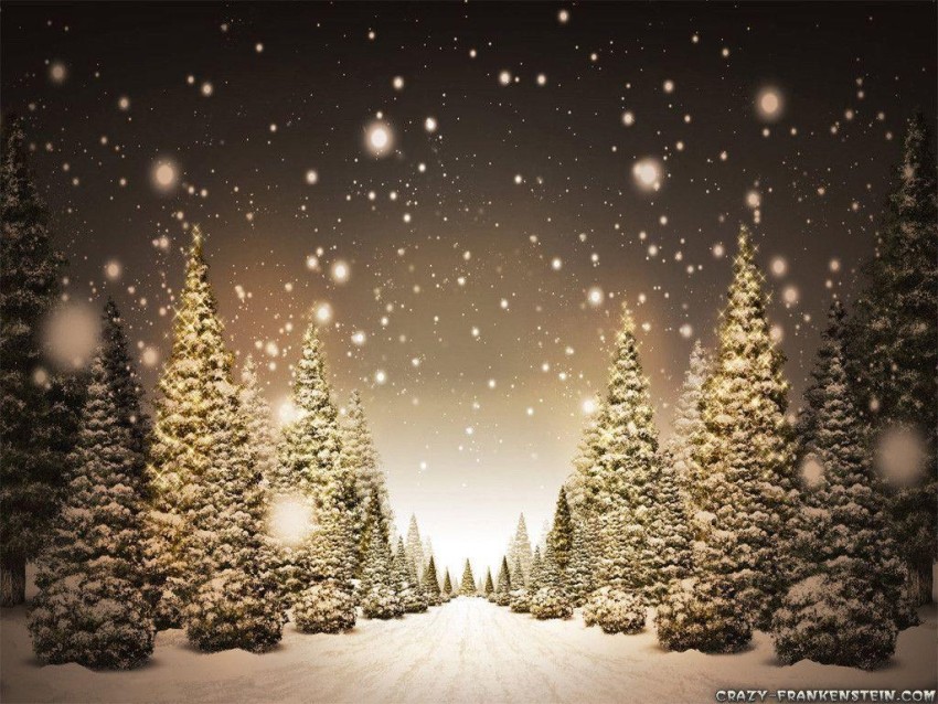 Christmas Snowfall Tree HD Backgrounds Wallpapers Images Photos