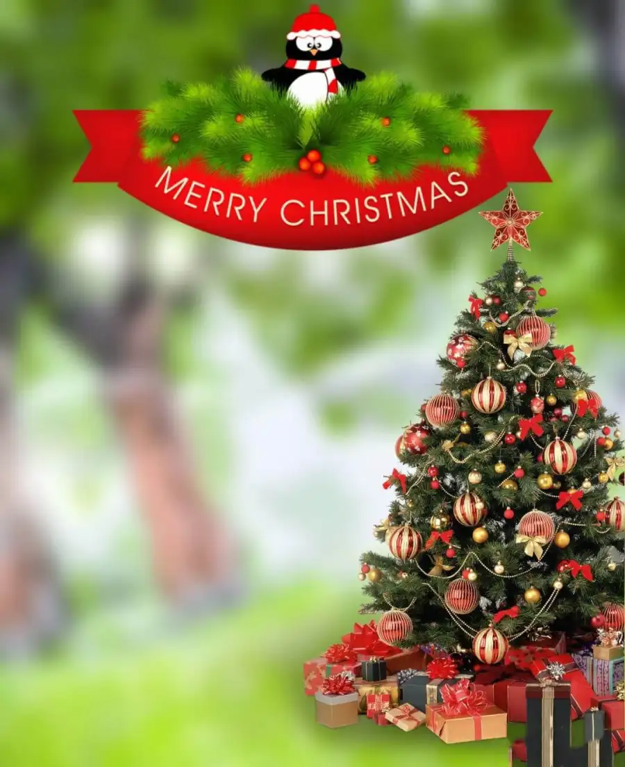 Christmas Tree Editing Blur Background  HD