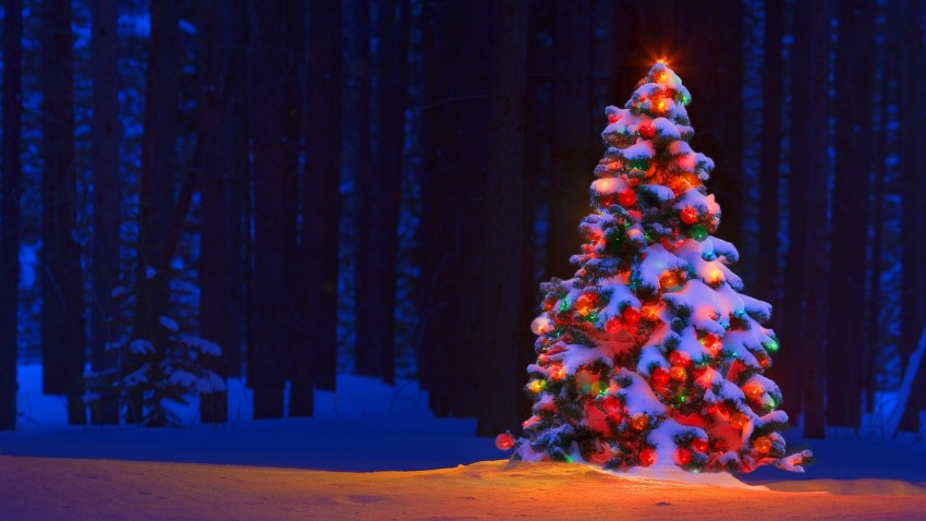 Christmas Tree Light Wallpaper Background HD Download