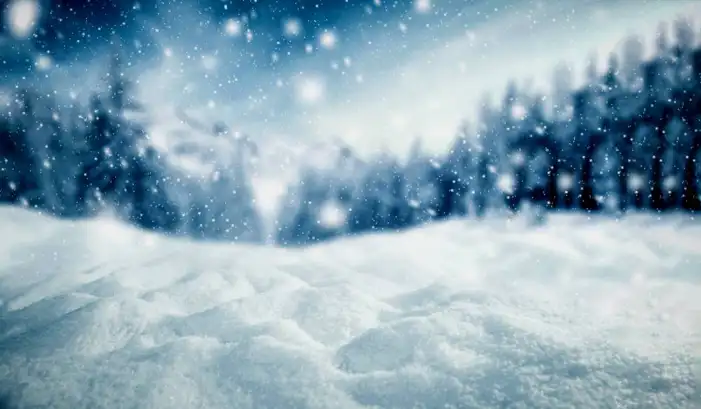 Christmas Winter Snow Background HD Images Free