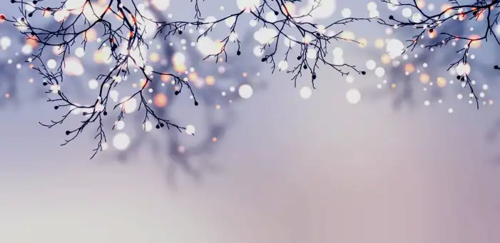 Christmas Winter Snow Background HD Images Free