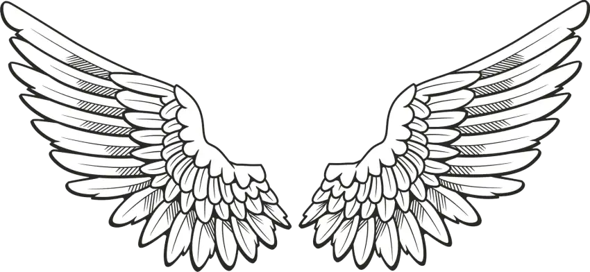 Clipart Wings PNG Images Download