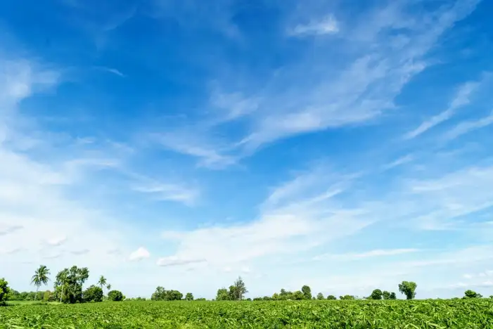 Cloud Blue Sky With Grass Field Background HD Images