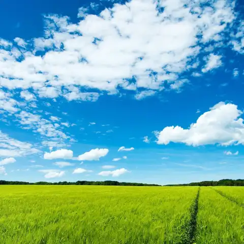 Cloud Sky Open Field Background Wallpaper HD Download