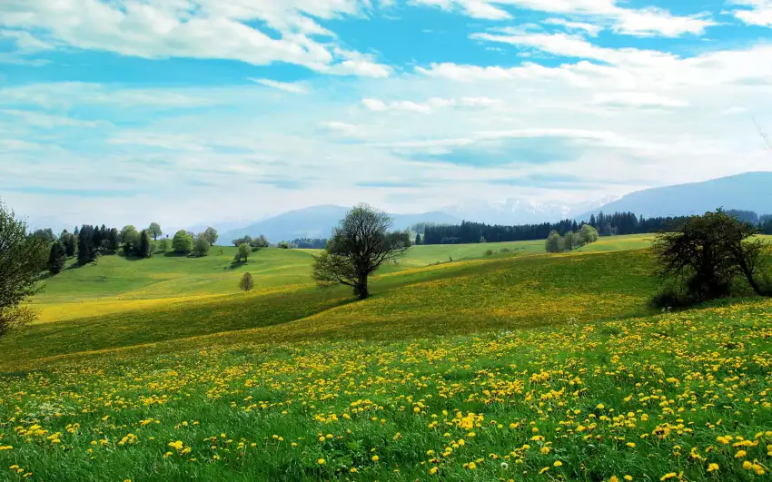 Cloud Sky Open Field Background Wallpaper HD Download