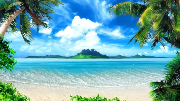 Coconut Tree `Beach Background Free Wallpaper Download