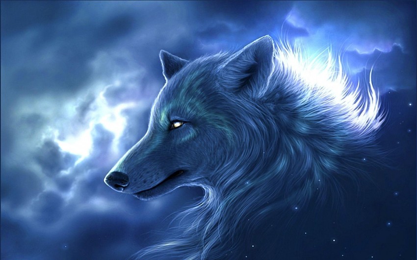 Cool Wolf Background Full HD Wallpaper Download