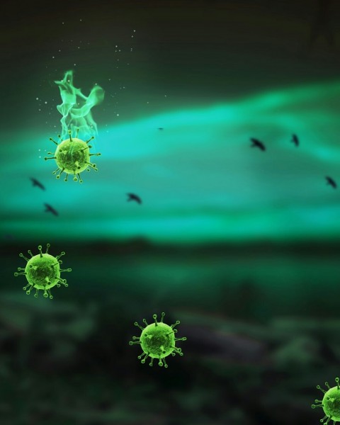 Corona Virus PicsArt Editing Background HD Picture