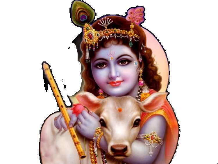 Cow With Baby  Krishna PNG Images HD Free Download