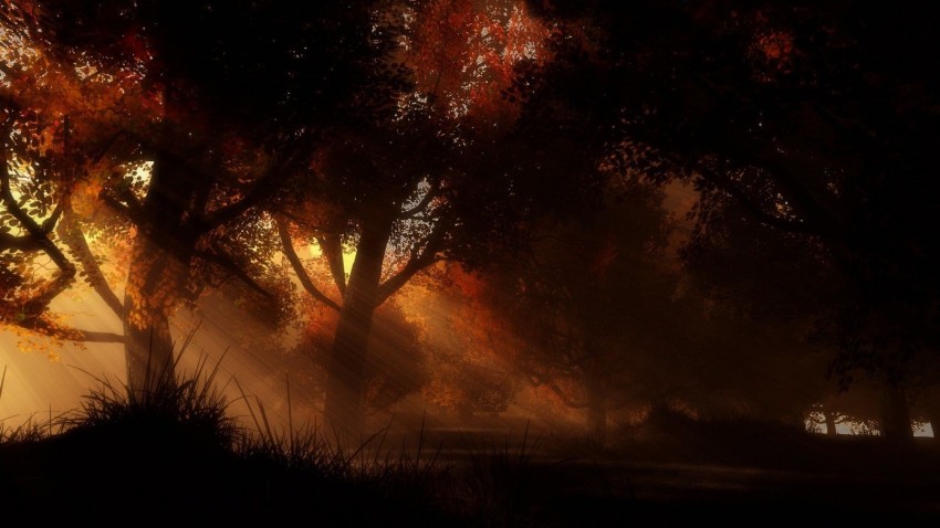 Dark Autumn Tree Background HD Download