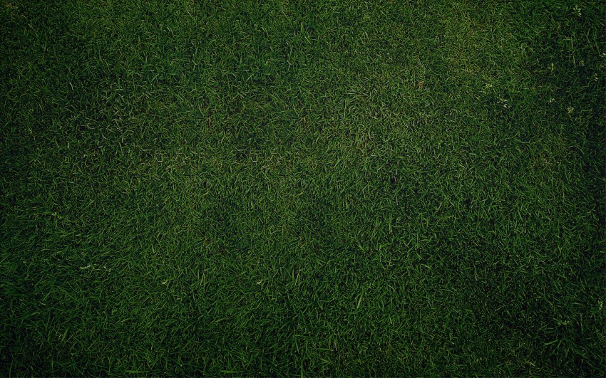 Dark Grass Background Images Photos Download