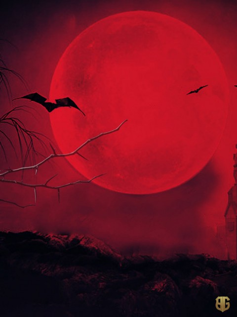 Dark Night Red Moon Background Download HD