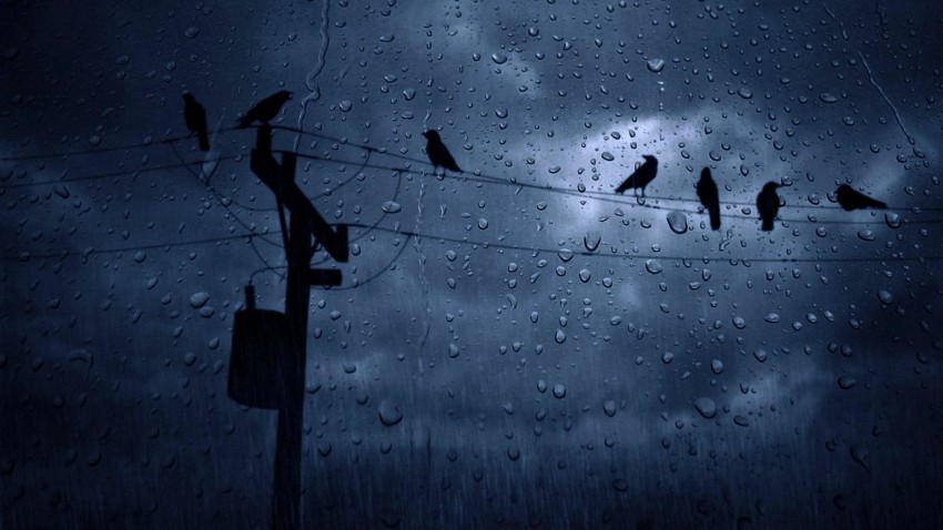 Dark Rain Full HD Background Download