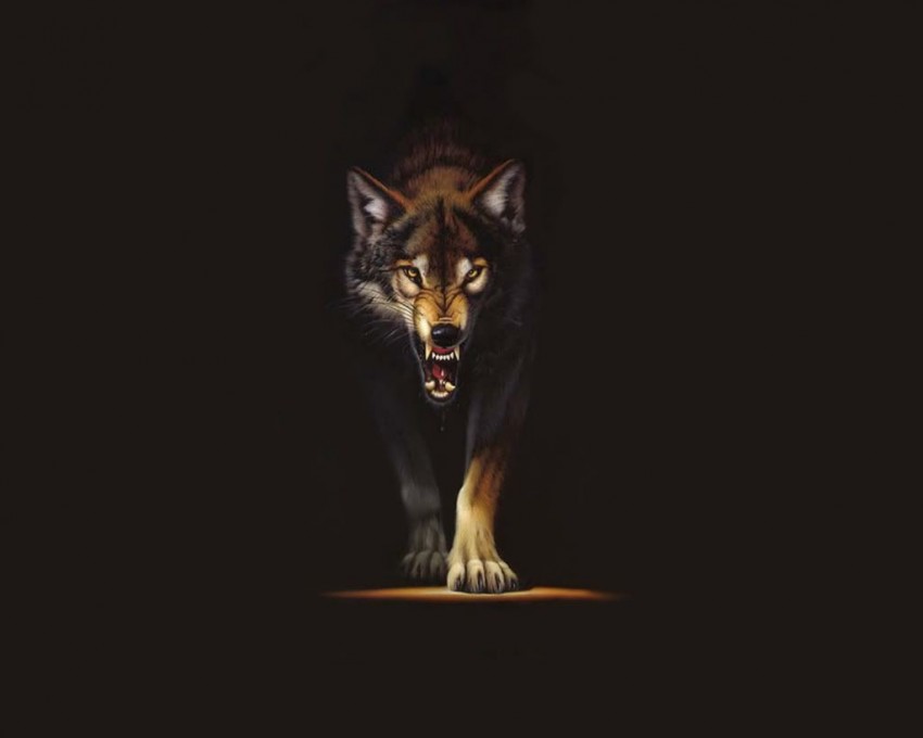 Dark Wolf Background Full HD Wallpaper Download