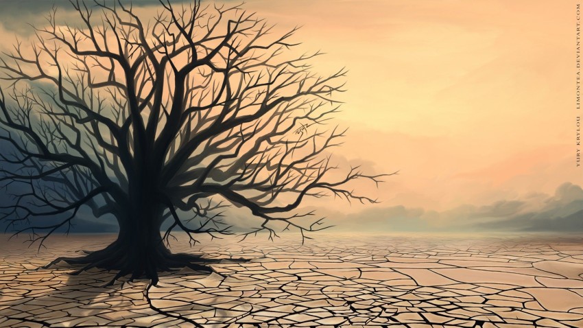 Dead Tree Background Full HD Wallpaper Download