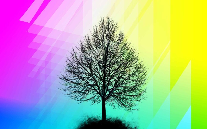 Dead Tree Background HD Download