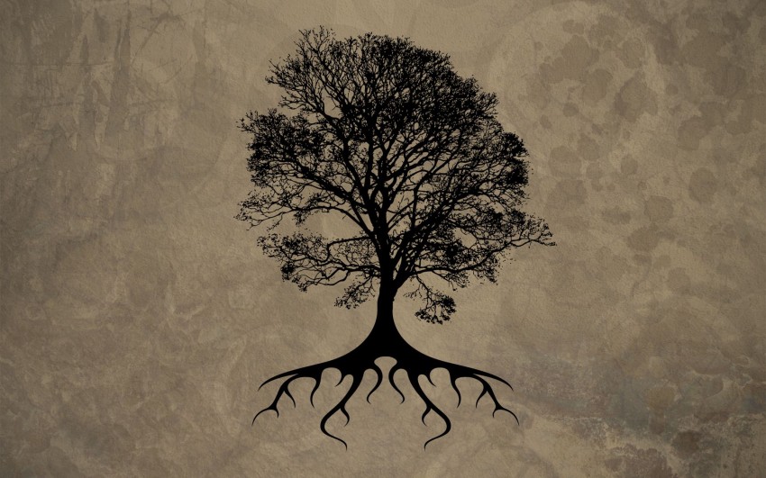 Dead Tree Background HD Download