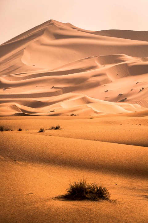 Desert CB Picsart Editing Background HD Download