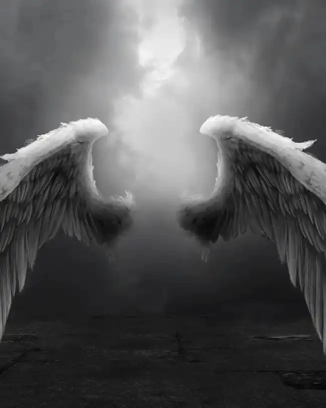 Devil Wing Picsart Background HD Download