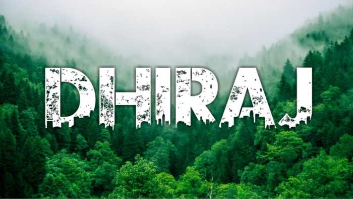 Dhiraj Urban Jungle Background Hd Download Free HD Images