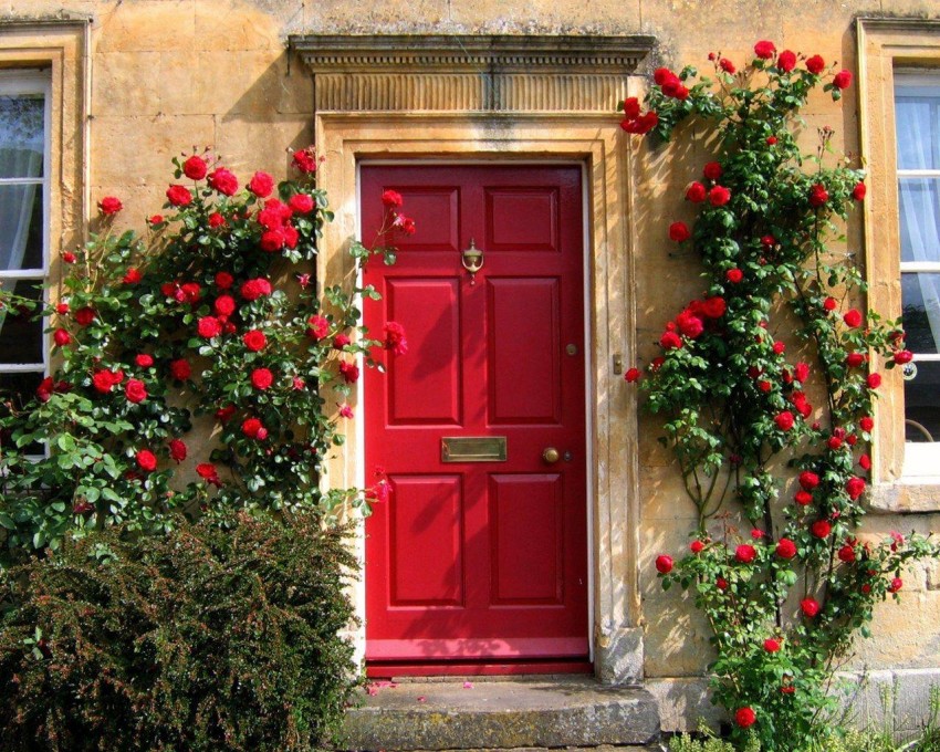 Door HD Background Wallpaper Image