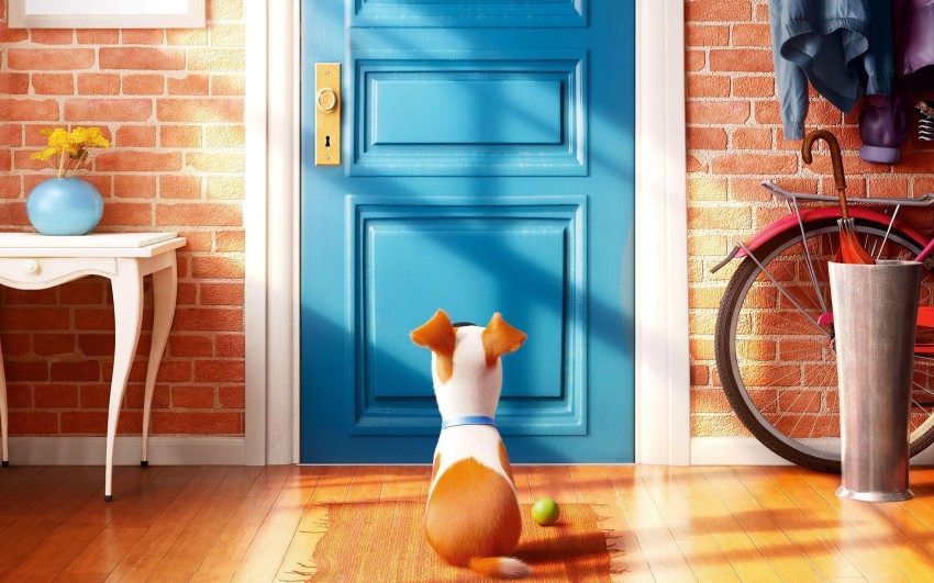 Door HD Background Wallpaper Image